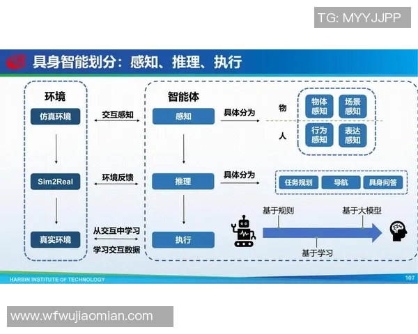 年度技术进步：人工智能训练工具的普及如何重塑训练方式与效率